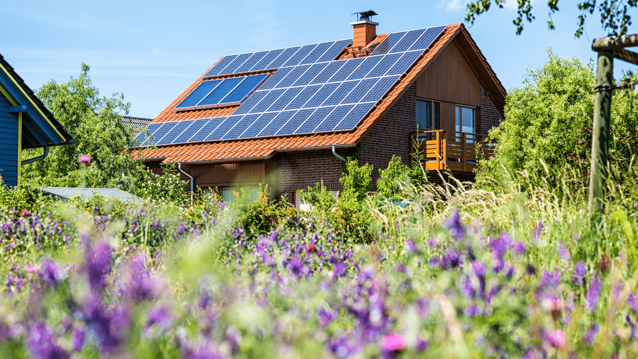 solar panels